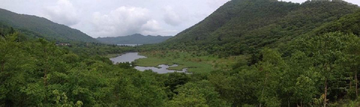 Regular Expressions 101